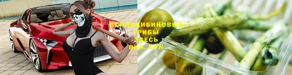 метадон Армянск