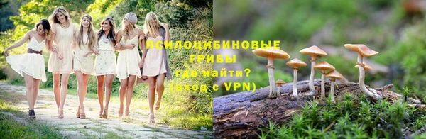 метадон Армянск